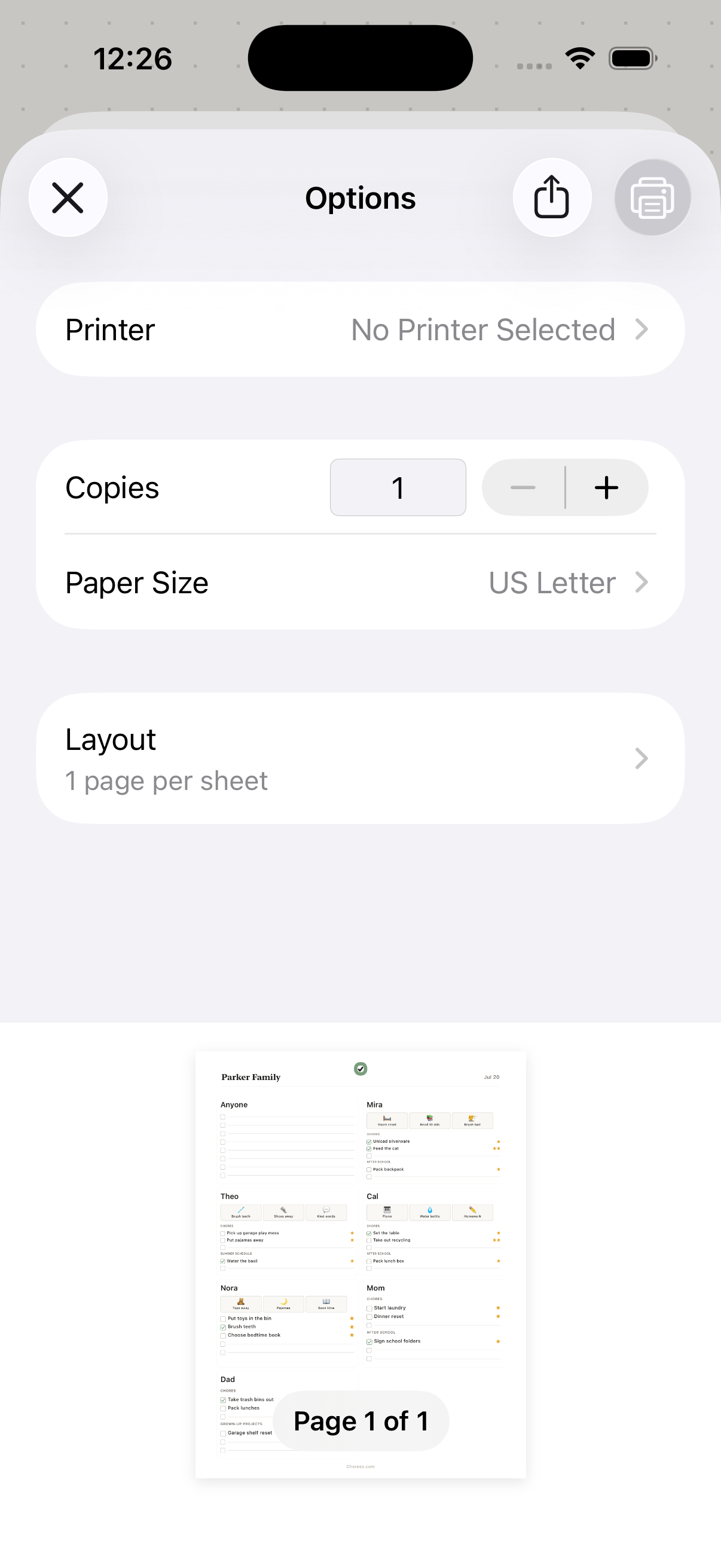 The native Choreeo iPhone system print and share screen.